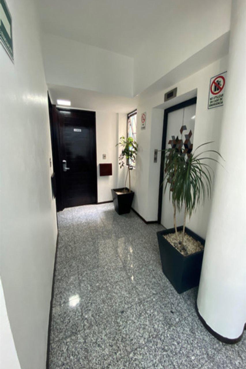 Flowsuites Polanco Μεξικό Εξωτερικό φωτογραφία